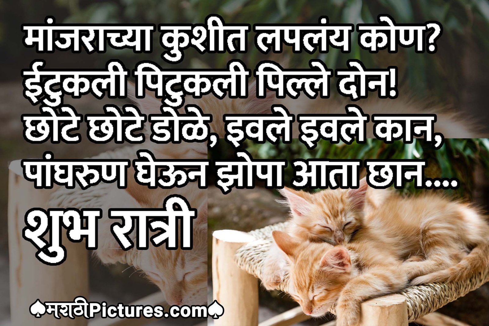 Shubh Ratri Message