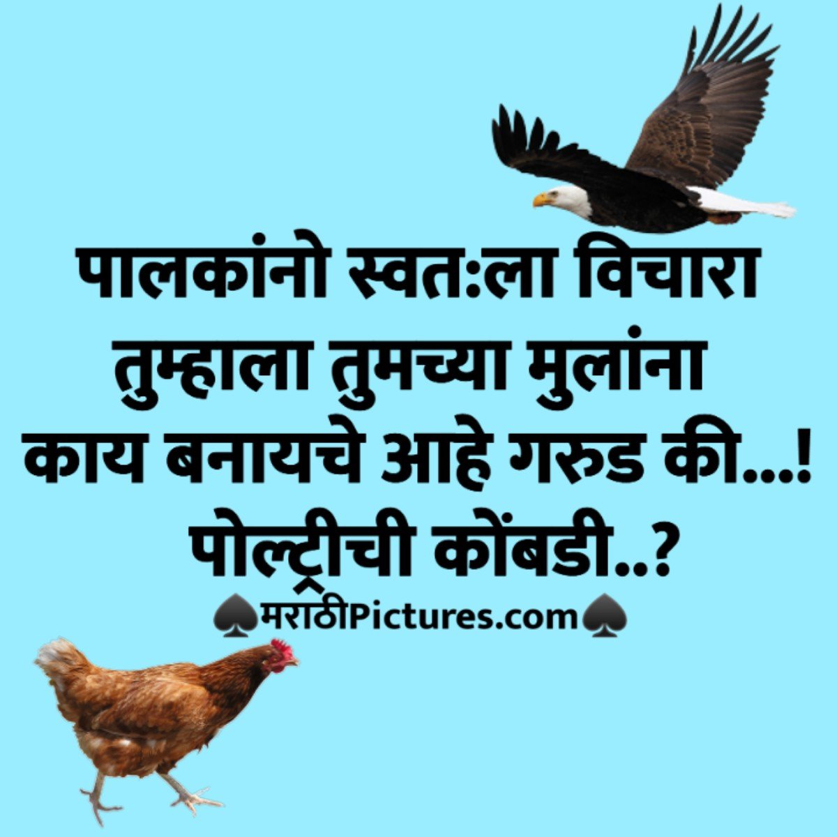 गरुड की पोल्ट्रीची कोंबडी