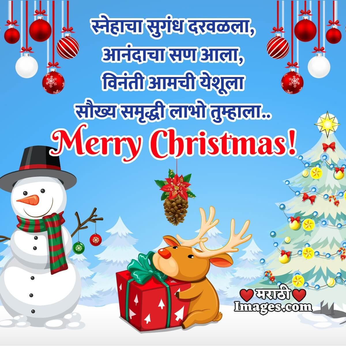 Awesome Merry Christmas Wishing Photo